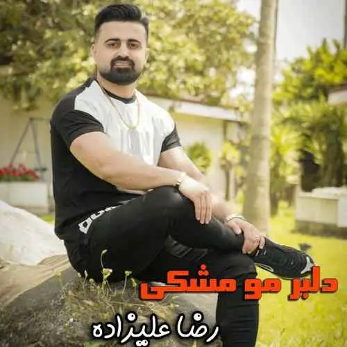 دلبر مو مشکی